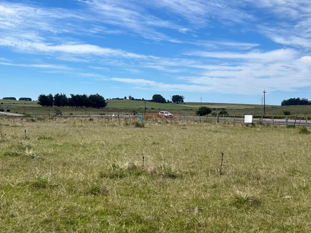 Campo Ref.4373 - CAMPO A LA VENTA RUTA 9 124 Há