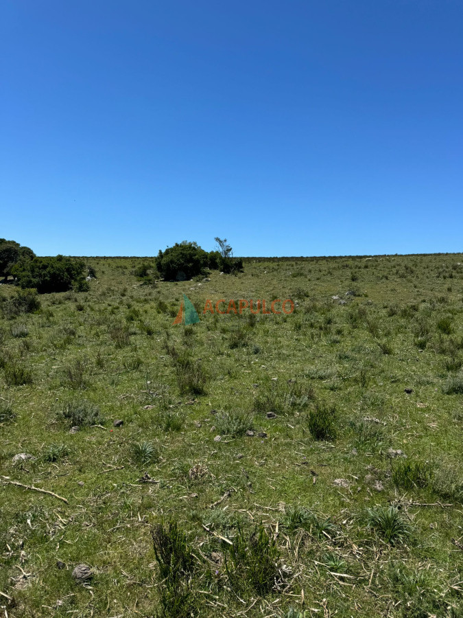 Campo Ref.4633 - Increíble campo con fines varios