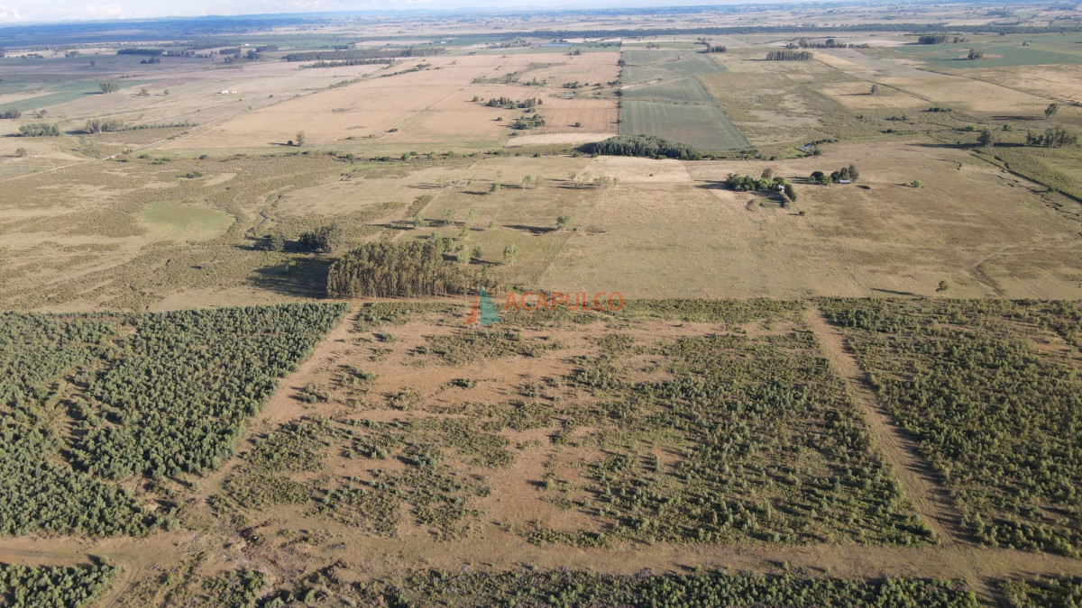 Campo Ref.4736 - Venta de Chacra - Campo en Florida 