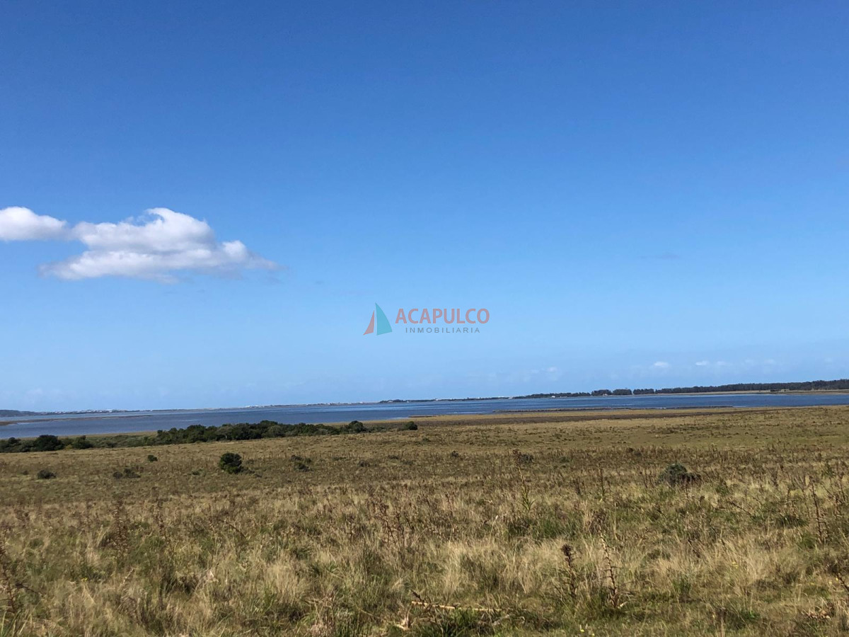 Campo Ref.4300 - Venta Campo 8.5 Has - José Ignacio - Ideal Emprendimiento Turístico - Zona de Polo