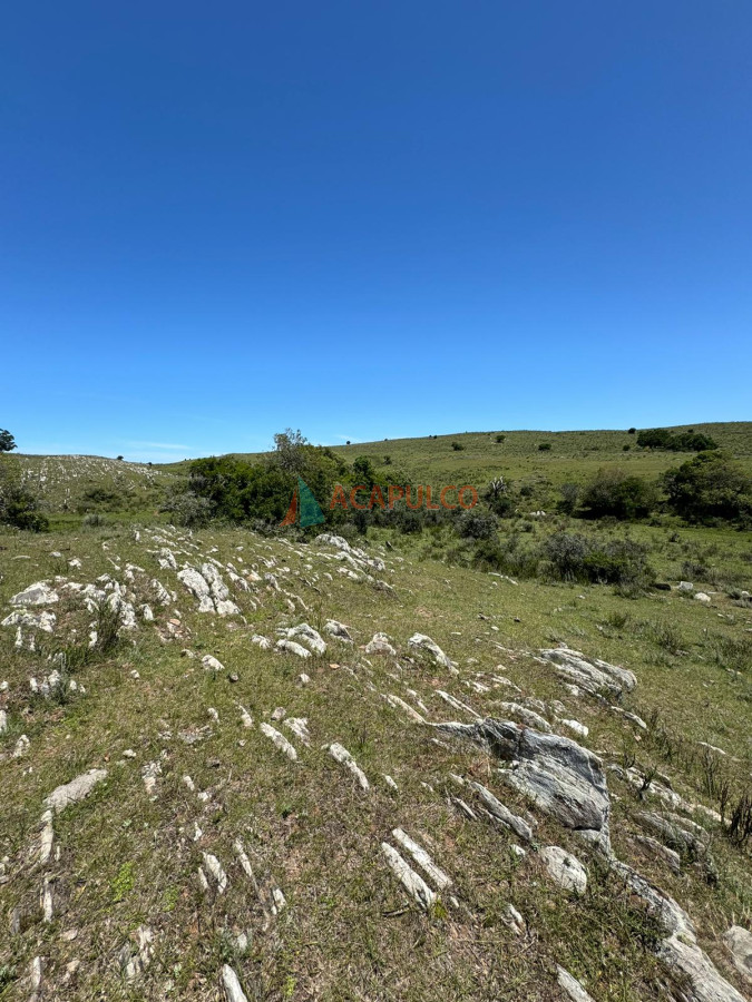 Campo Ref.4633 - Increíble campo con fines varios