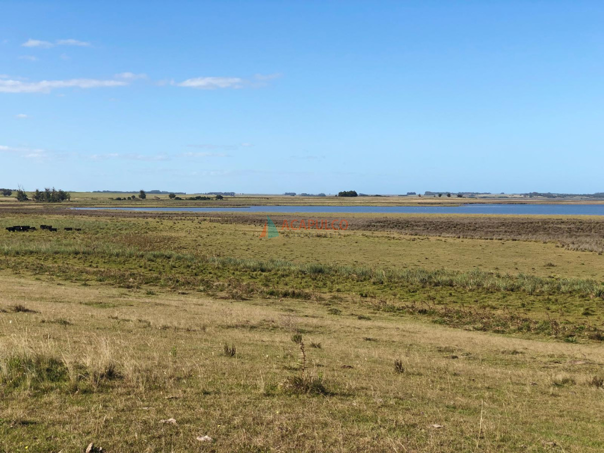 Campo Ref.4300 - Venta Campo 8.5 Has - José Ignacio - Ideal Emprendimiento Turístico - Zona de Polo