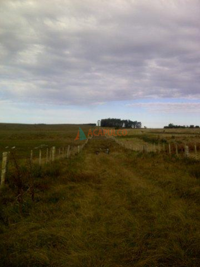 Campo Ref.3573 - VENTA CAMPO EN ROCHA - CASTILLOS - IMPERDIBLE OPORTUNIDAD!! -