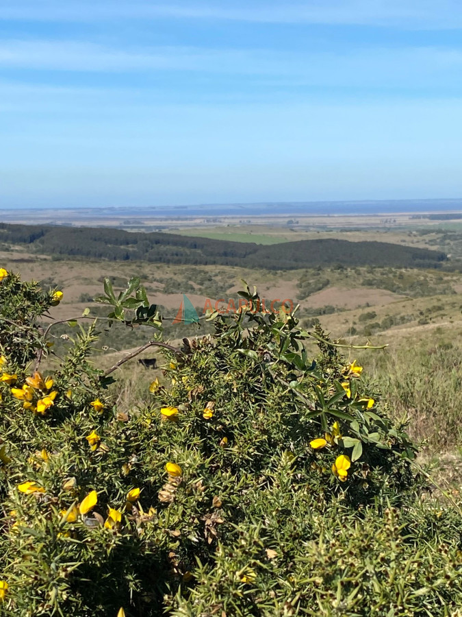 Campo Ref.6294 - CAMPO EN ROCHA, SIERRAS DE LA COSTA