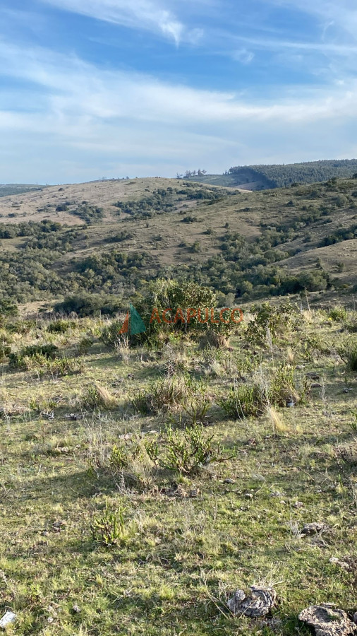 Campo Ref.6294 - CAMPO EN ROCHA, SIERRAS DE LA COSTA