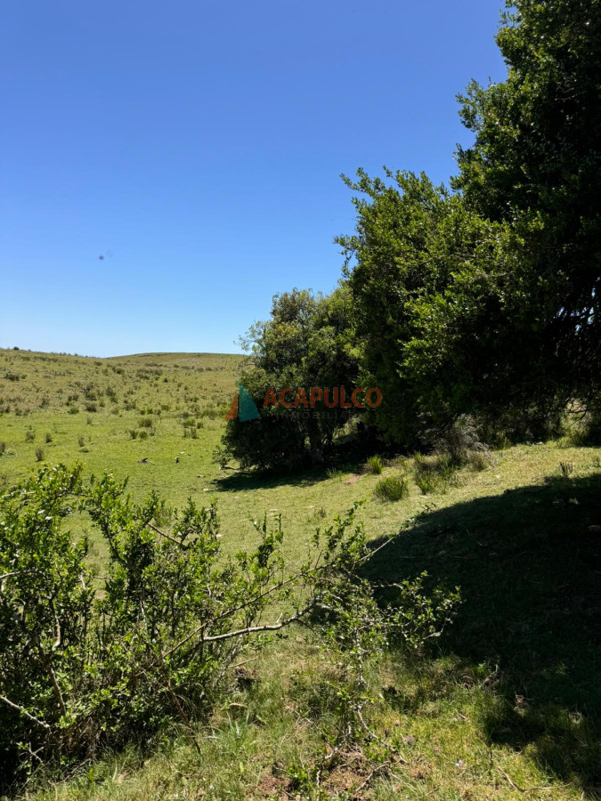 Campo Ref.4633 - Increíble campo con fines varios