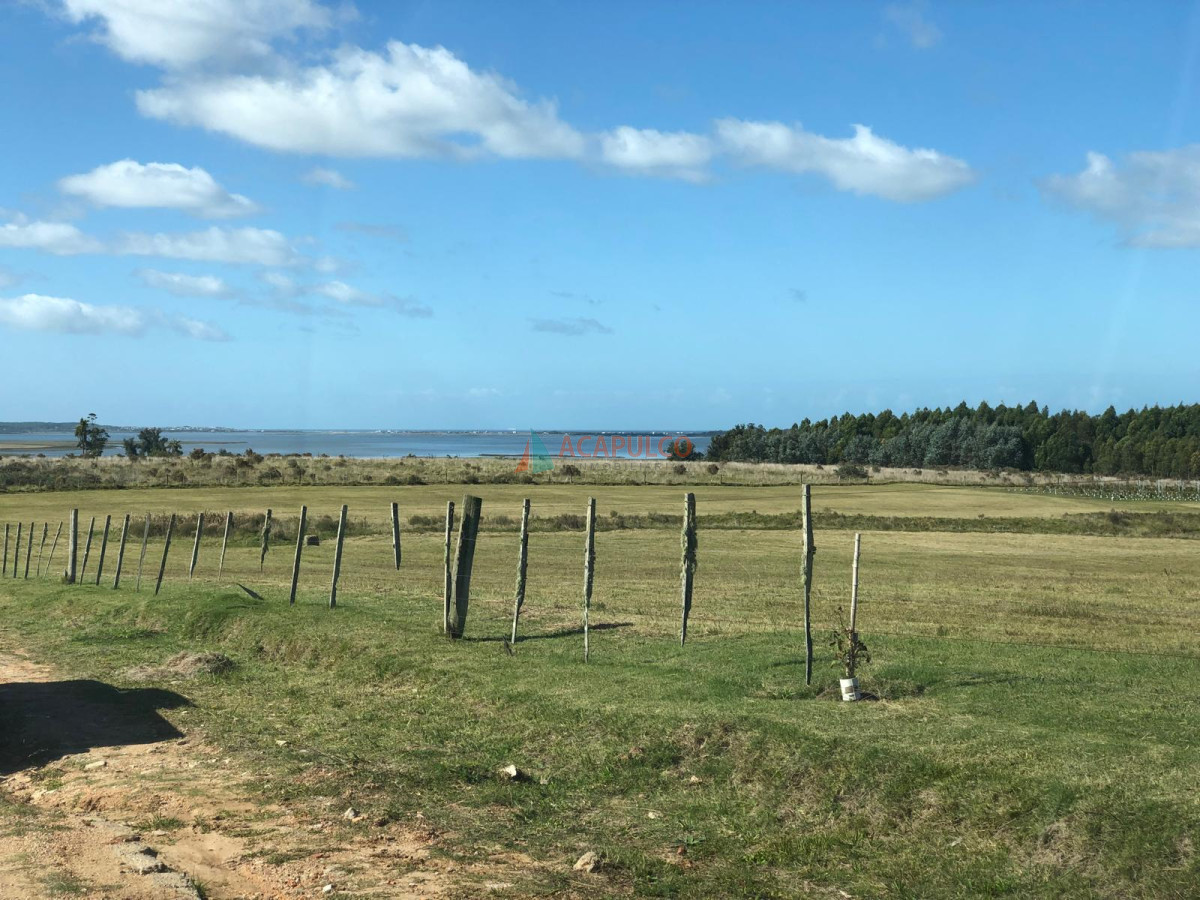 Campo Ref.4300 - Venta Campo 8.5 Has - José Ignacio - Ideal Emprendimiento Turístico - Zona de Polo