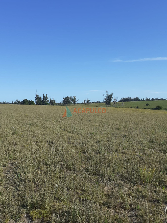 Campo Ref.4508 - 23 Hás en venta destino Agrícola - Ganadero