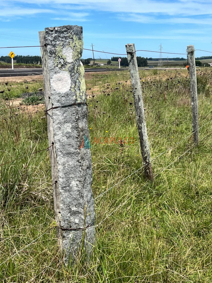 Campo Ref.4373 - CAMPO A LA VENTA RUTA 9 124 Há