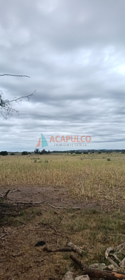 Campo Ref.6371 - CAMPO TODO USO