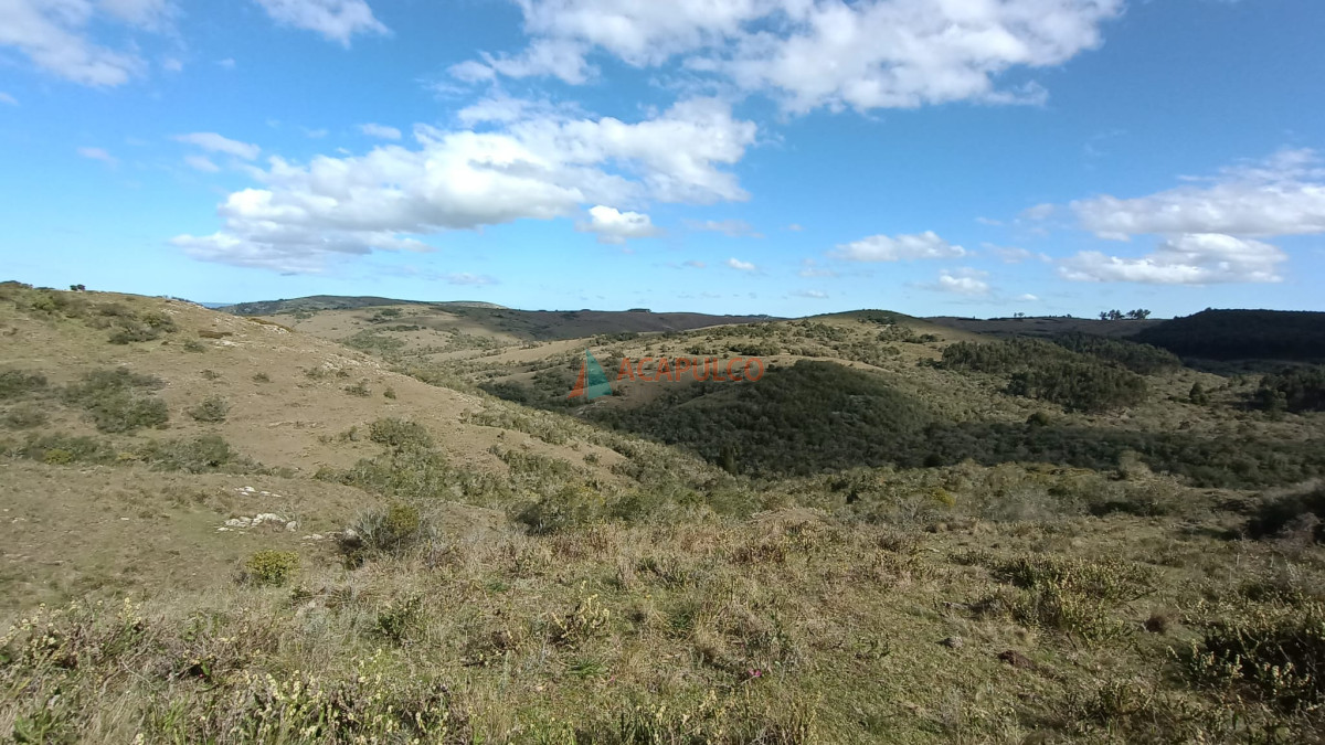 Campo Ref.3573 - VENTA CAMPO EN ROCHA - CASTILLOS - IMPERDIBLE OPORTUNIDAD!! -