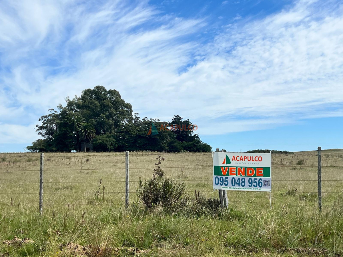 Campo Ref.4373 - CAMPO A LA VENTA RUTA 9 124 Há
