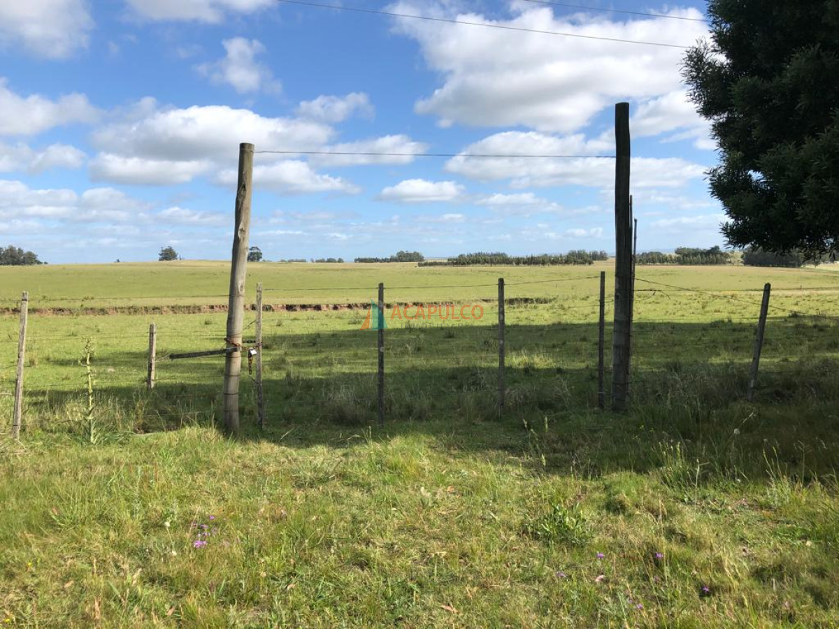 Campo Ref.4165 - CAMPO A LA VENTA SOBRE RUTA 9