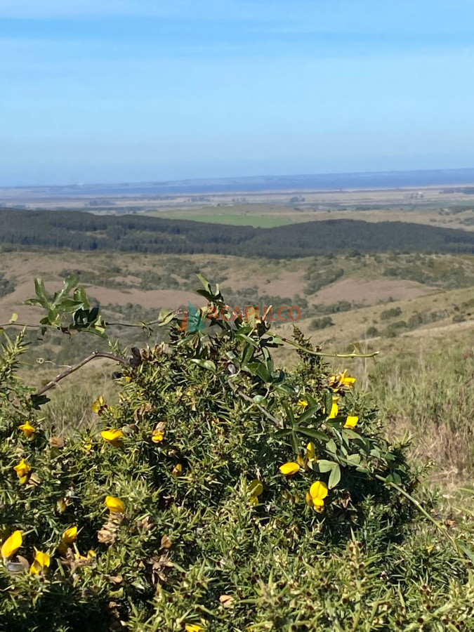 Campo Ref.6294 - CAMPO EN ROCHA, SIERRAS DE LA COSTA