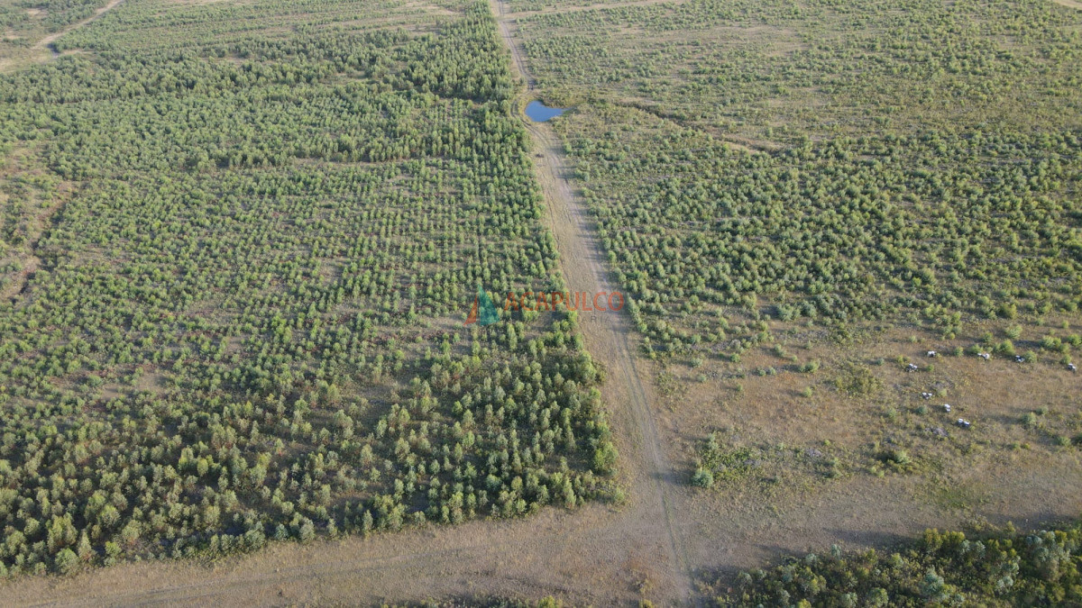 Campo Ref.4736 - Venta de Chacra - Campo en Florida 