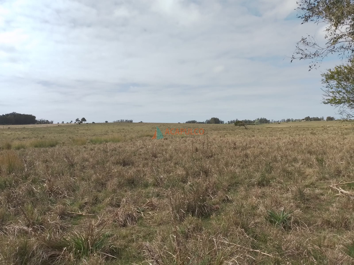 Campo Ref.4164 - CAMPO A LA VENTA DE 22 HA. RUTA 9 -  