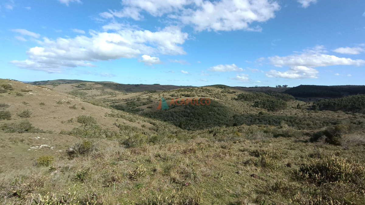 Campo Ref.3573 - VENTA CAMPO EN ROCHA - CASTILLOS - IMPERDIBLE OPORTUNIDAD!! -