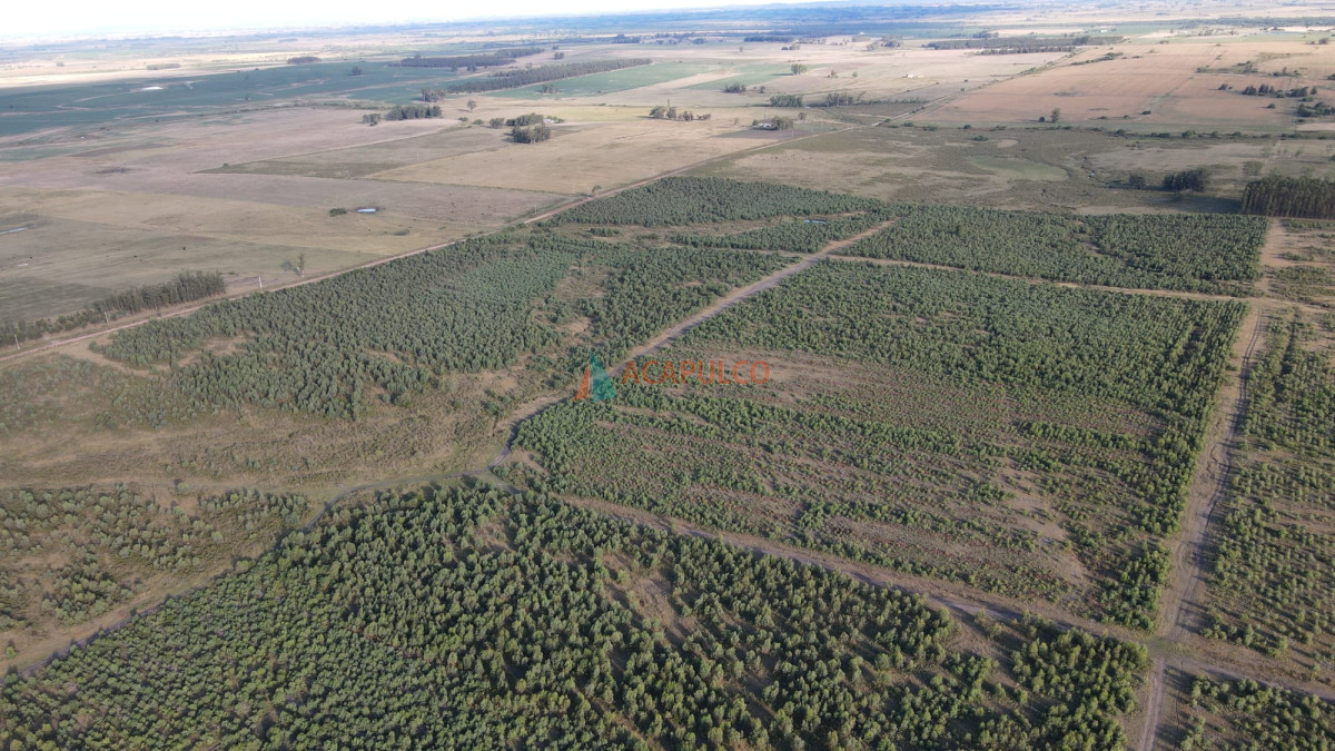 Campo Ref.4736 - Venta de Chacra - Campo en Florida 