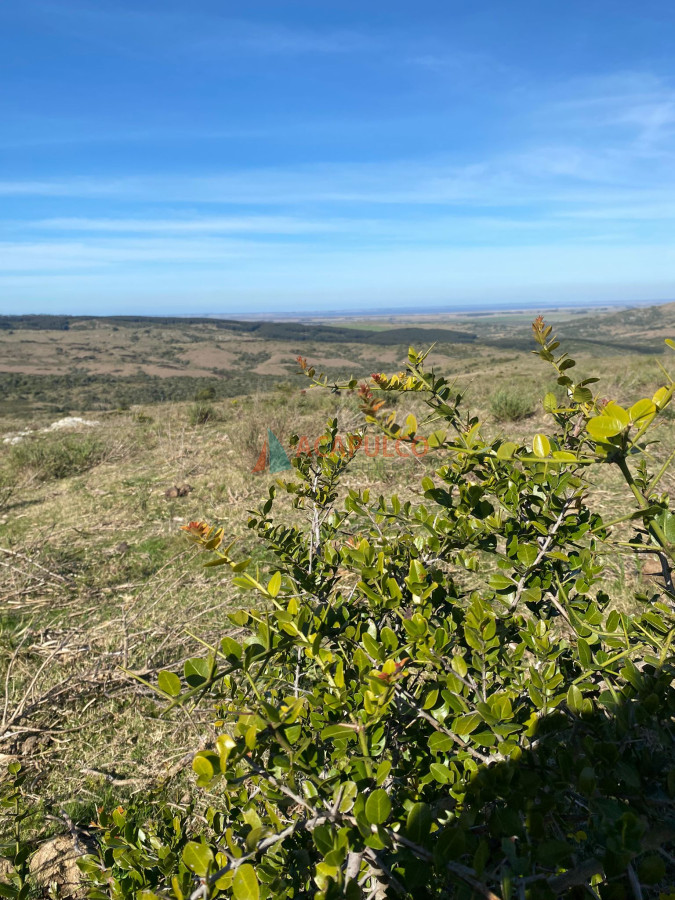 Campo Ref.6294 - CAMPO EN ROCHA, SIERRAS DE LA COSTA