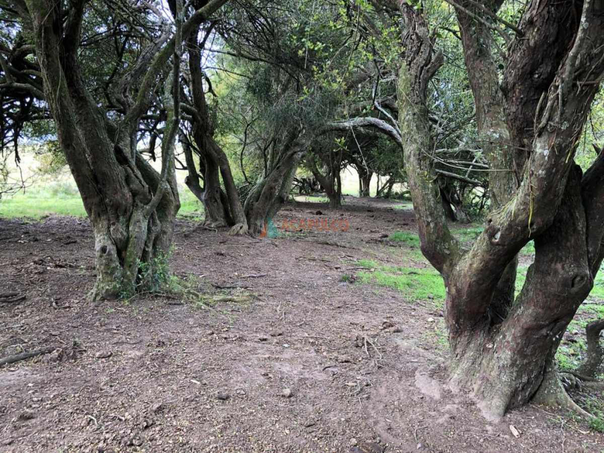 Campo Ref.4165 - CAMPO A LA VENTA SOBRE RUTA 9