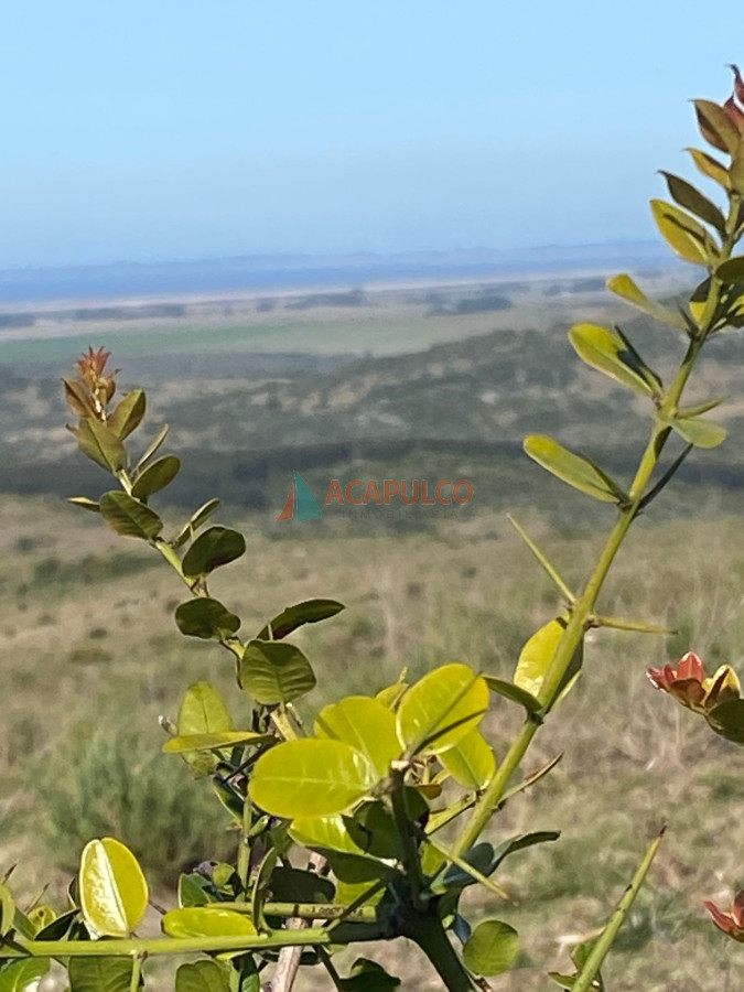 Campo Ref.6294 - CAMPO EN ROCHA, SIERRAS DE LA COSTA