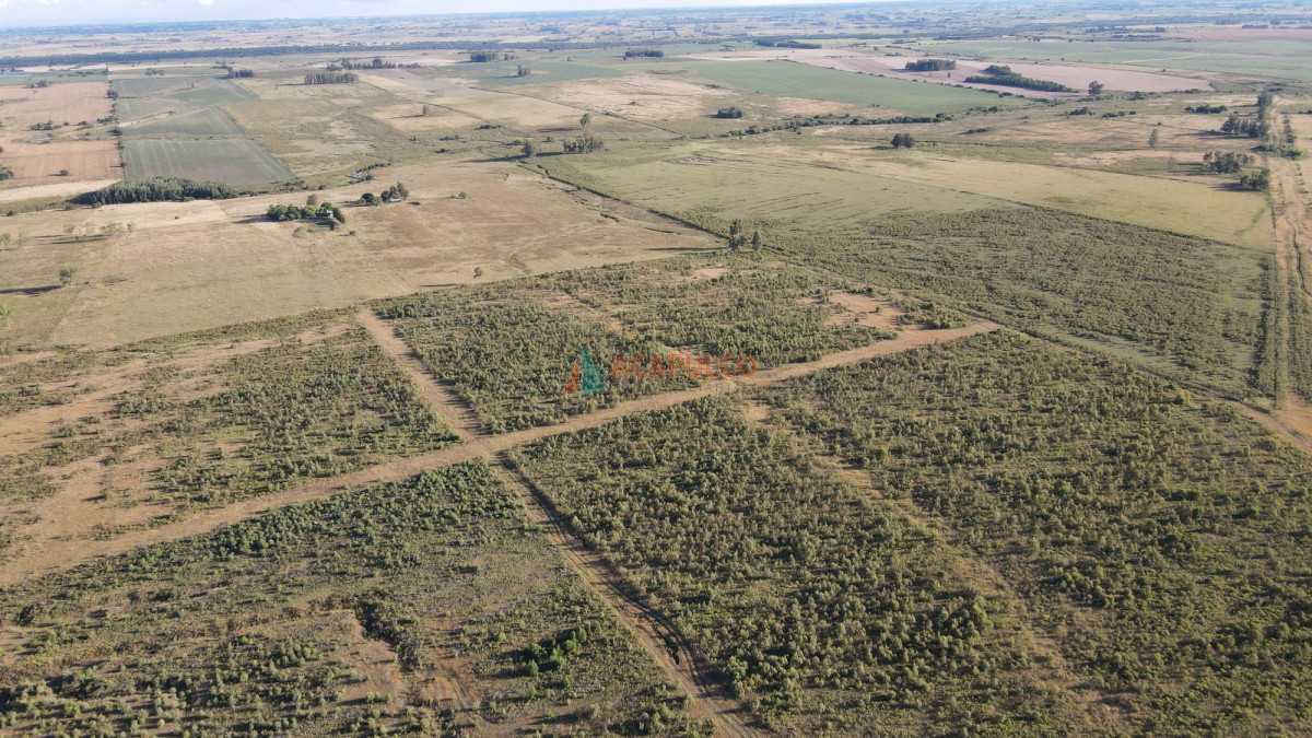 Campo Ref.4736 - Venta de Chacra - Campo en Florida 
