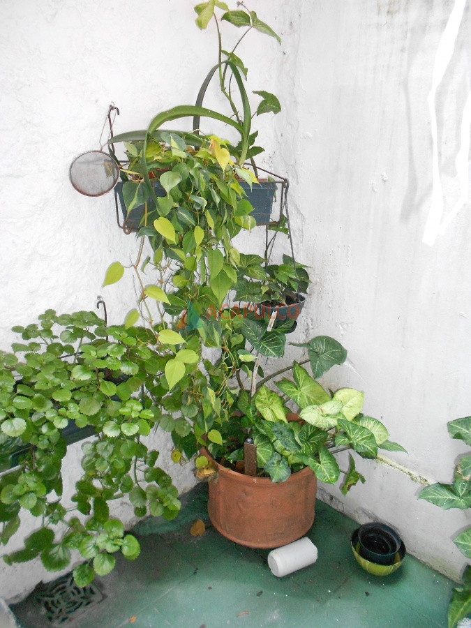 Local Comercial ID.5462 - Venta Local Comercial sobre Avenida en Parque Batlle