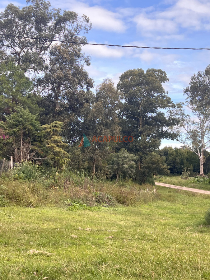 Terreno esquinero en Golf - Punta del Este a metros de Pedragosa Sierra - ACP4746T