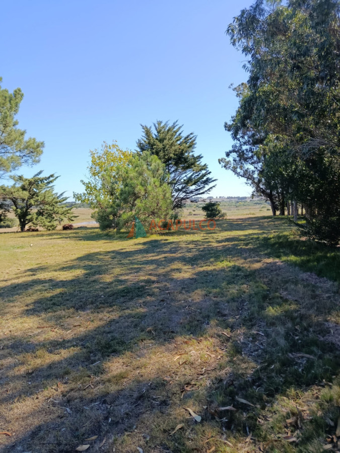 Terreno ID.6429 - Vende terreno 5000 metros en Barrio privado de José Ignacio