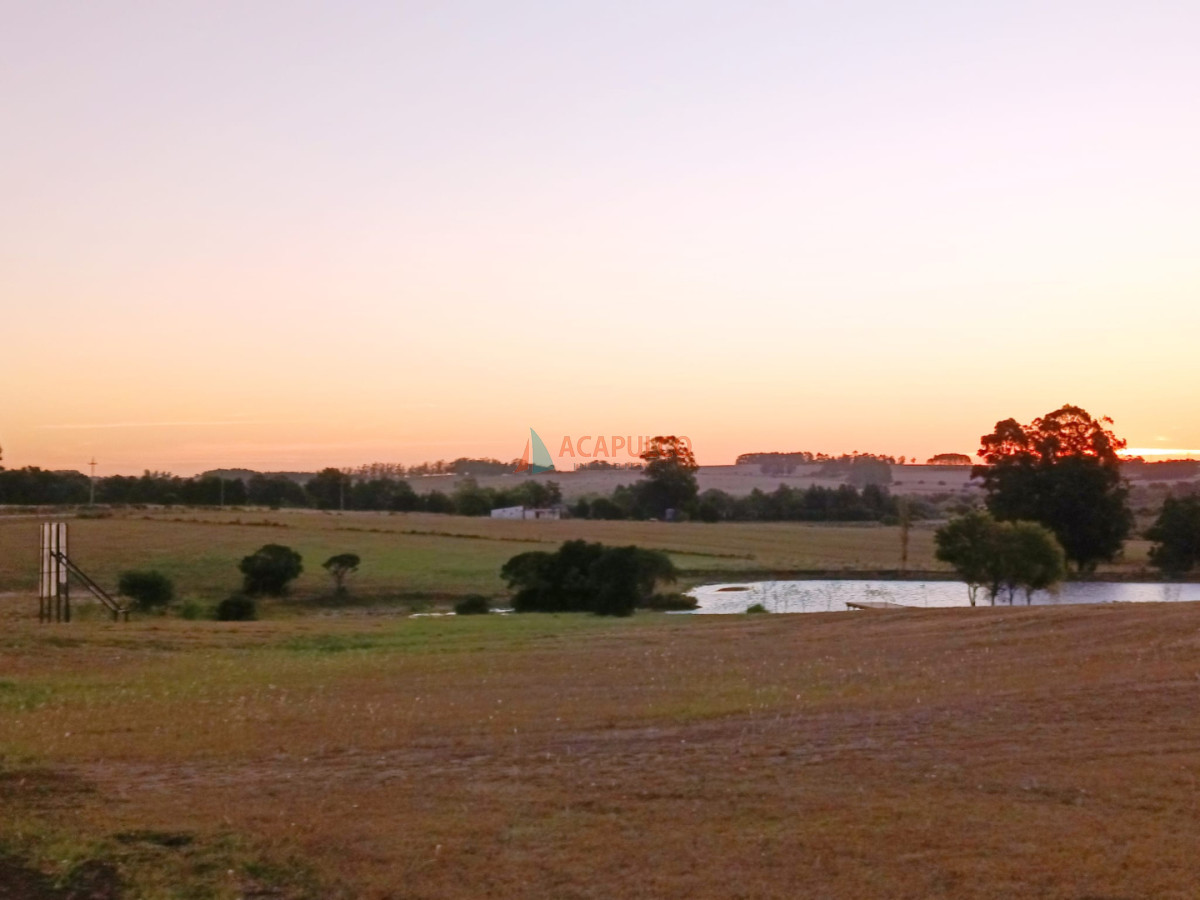 Terreno ID.6429 - Vende terreno 5000 metros en Barrio privado de José Ignacio