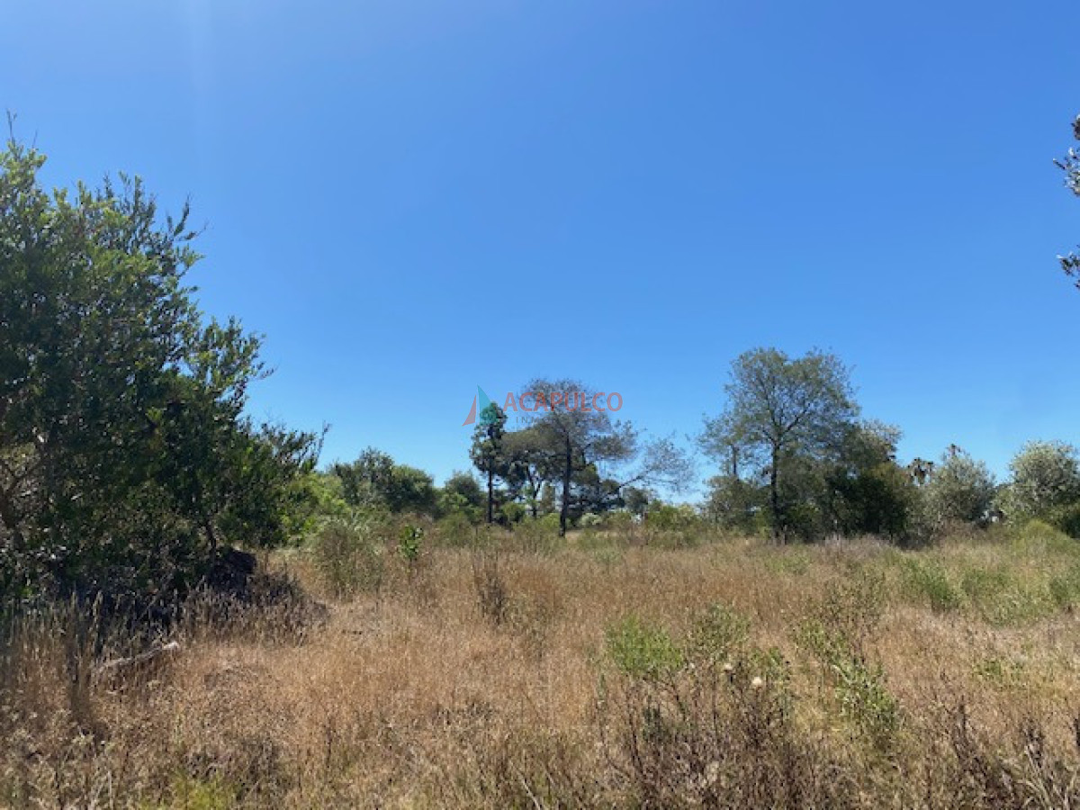 Terreno ID.4520 - DOS TERRENOS LINDEROS A LA VENTA 700 M2 C/U