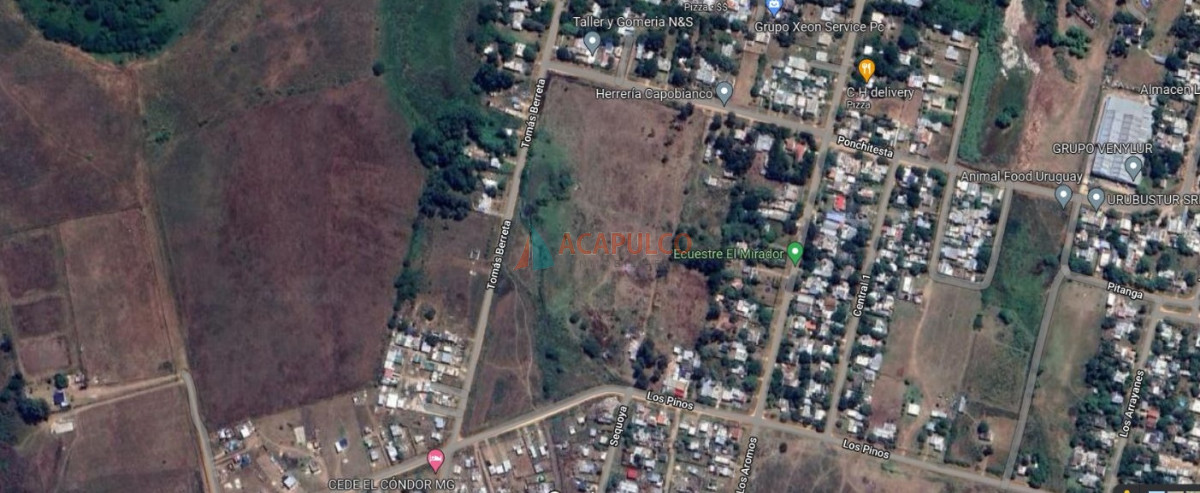 Terreno Ref.5928 - Terreno en Colonia Nicolich 36.000 metros 