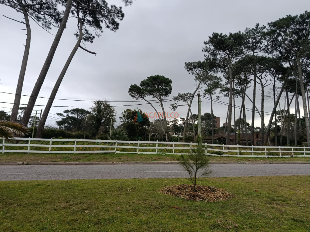 Terreno ID.6513 - TERRENO EN PLAYA MANSA PARA EDIFICIO
