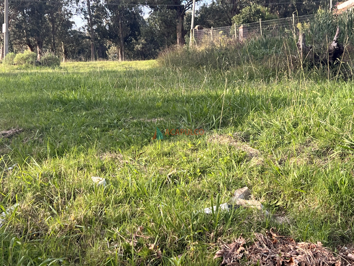 Terreno Ref.4746 - Terreno esquinero en Golf - Punta del Este a metros de Pedragosa Sierra