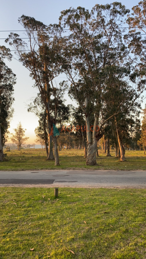 Terreno Ref.4745 - Terreno en Golf - Punta del Este - 1020 mts. Cercado.