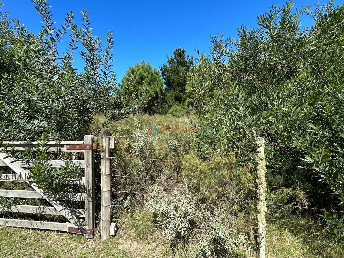 Terreno Ref.4111 - VENTA TERRENO EN BARRIO SAN VICENTE