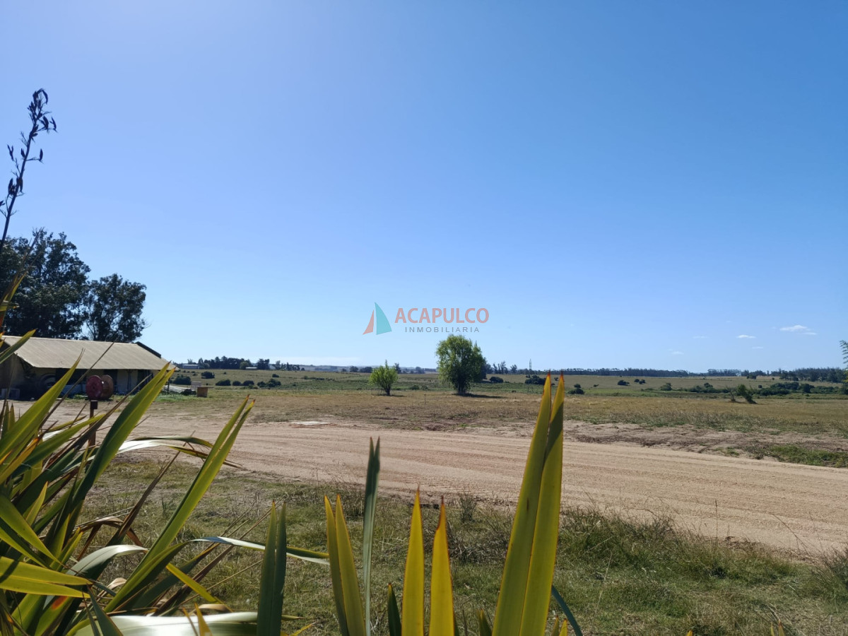 Terreno ID.6429 - Vende terreno 5000 metros en Barrio privado de José Ignacio