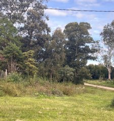 Terreno esquinero en Golf - Punta del Este a metros de Pedragosa Sierra