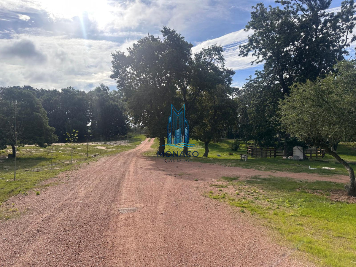 Chacra ID.5 - VENTA DE CHACRAS LOTE 3H EN LA BAGUALA