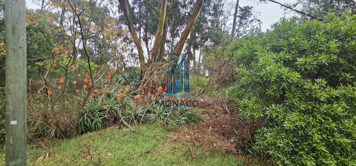 Terreno ID.7 - VENTA DE TERRENO EN PIRIAPOLIS CERCA DE ARGENTINO HOTEL