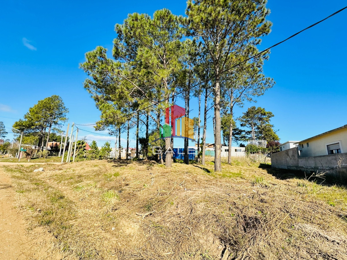 Altos de la Laguna - GoPunta - Portal Inmobiliario de Punta del Este - Maldonado