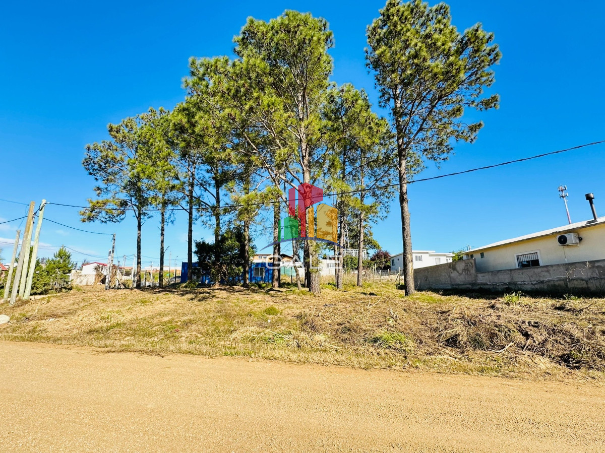 Altos de la Laguna - GoPunta - Portal Inmobiliario de Punta del Este - Maldonado