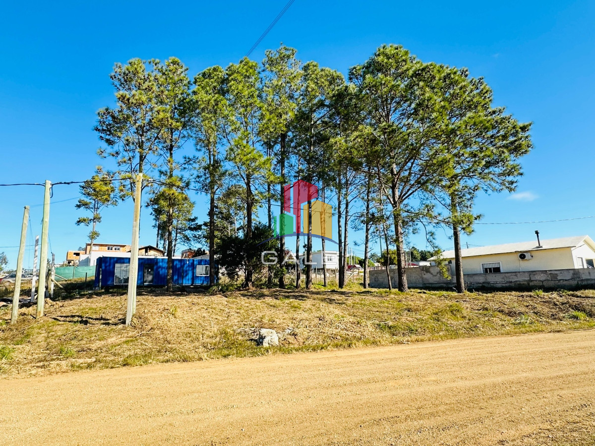 Altos de la Laguna - GoPunta - Portal Inmobiliario de Punta del Este - Maldonado