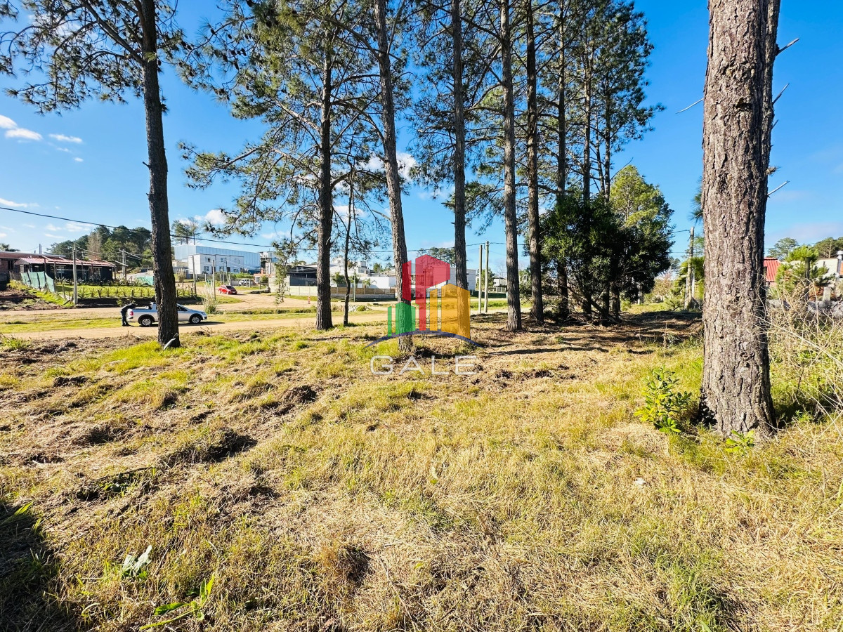 Altos de la Laguna - GoPunta - Portal Inmobiliario de Punta del Este - Maldonado