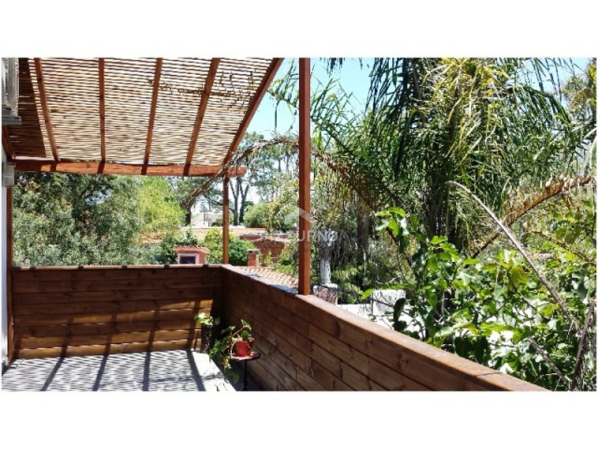 Casa Ref.152 - Casa en alquiler temporario - PUNTA DEL ESTE, PLAYA MANSA