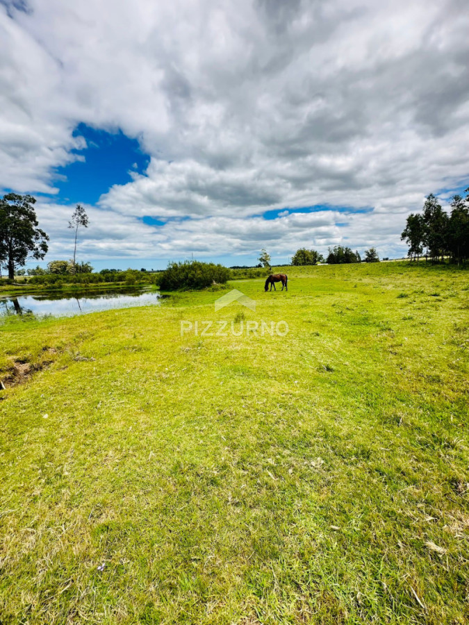 Chacra Ref.1190 - Chacra en venta, 5 hectareas, ruta 12, Maldonado