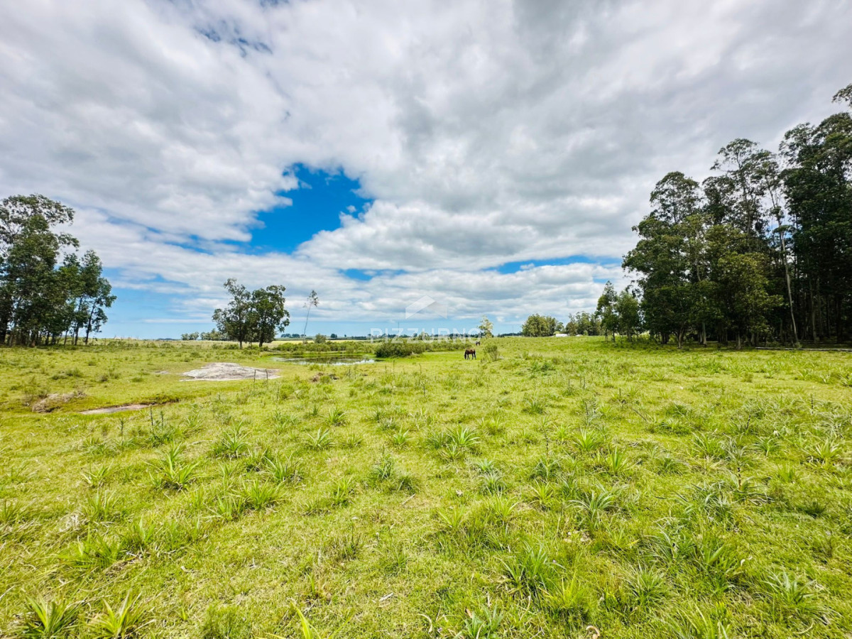 Chacra Ref.1190 - Chacra en venta, 5 hectareas, ruta 12, Maldonado
