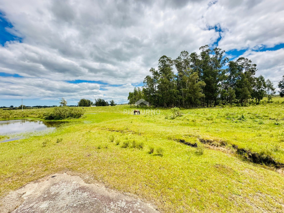 Chacra Ref.1190 - Chacra en venta, 5 hectareas, ruta 12, Maldonado