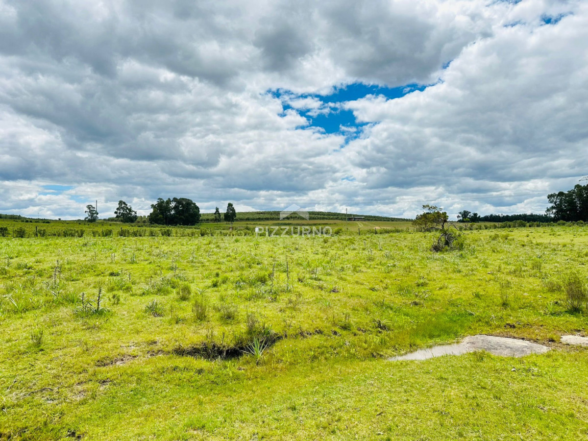 Chacra Ref.1190 - Chacra en venta, 5 hectareas, ruta 12, Maldonado