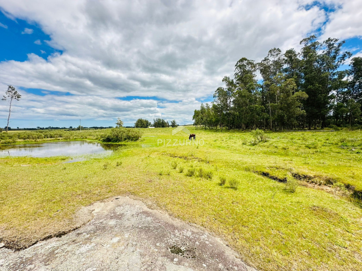 Chacra Ref.1190 - Chacra en venta, 5 hectareas, ruta 12, Maldonado